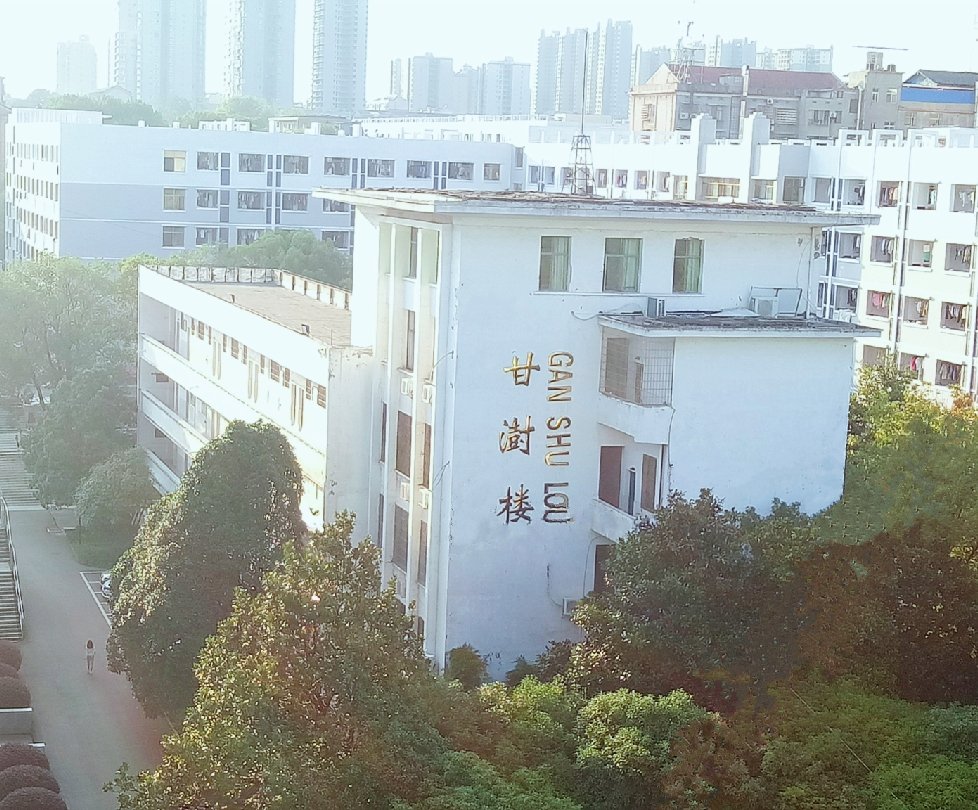 养根楼